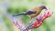 NZ Biodiversity Strategy - Christchurch Workshop