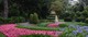 Brown Bag Lunch: One Billion Trees – Role of Botanic Gardens