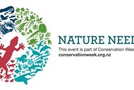 Image for event: Conservation Week Planting Day – Yellow-Eyed Penguin Trust