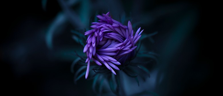 Flower/Macro Photography Beginners Workshop