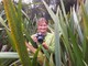 Bay of Plenty Conservation Week Photography Competition
