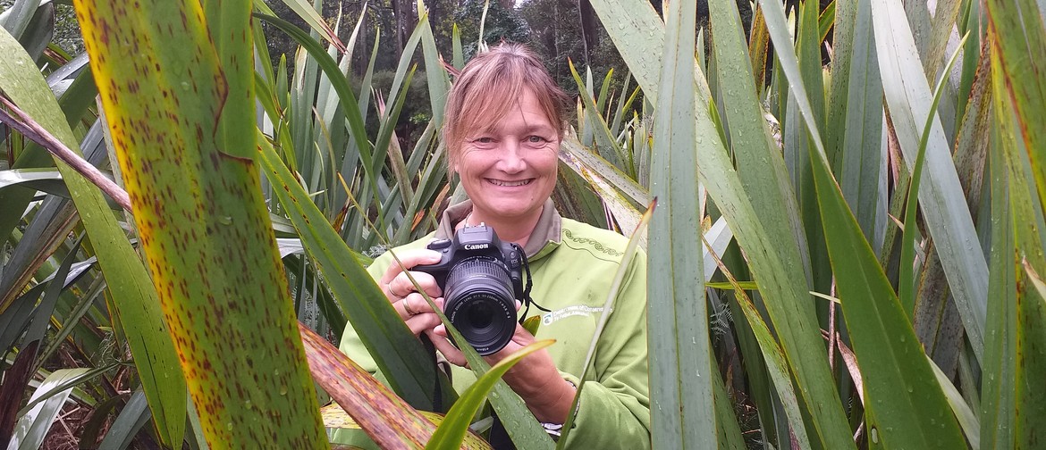 Bay of Plenty Conservation Week Photography Competition