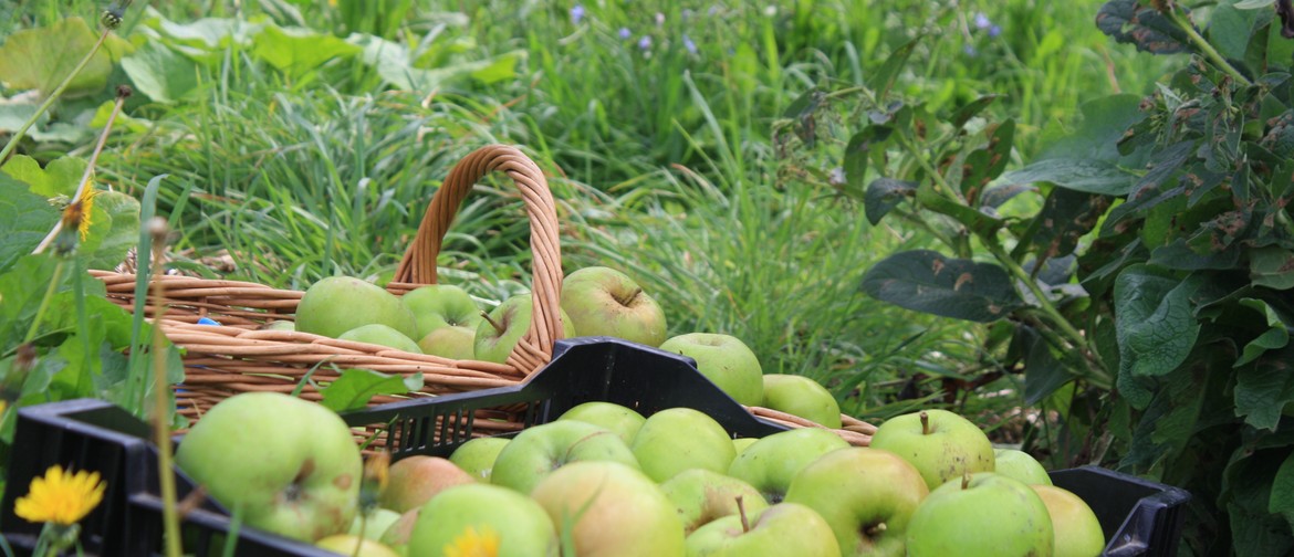 The Happy, Healthy Fruit Tree Workshop
