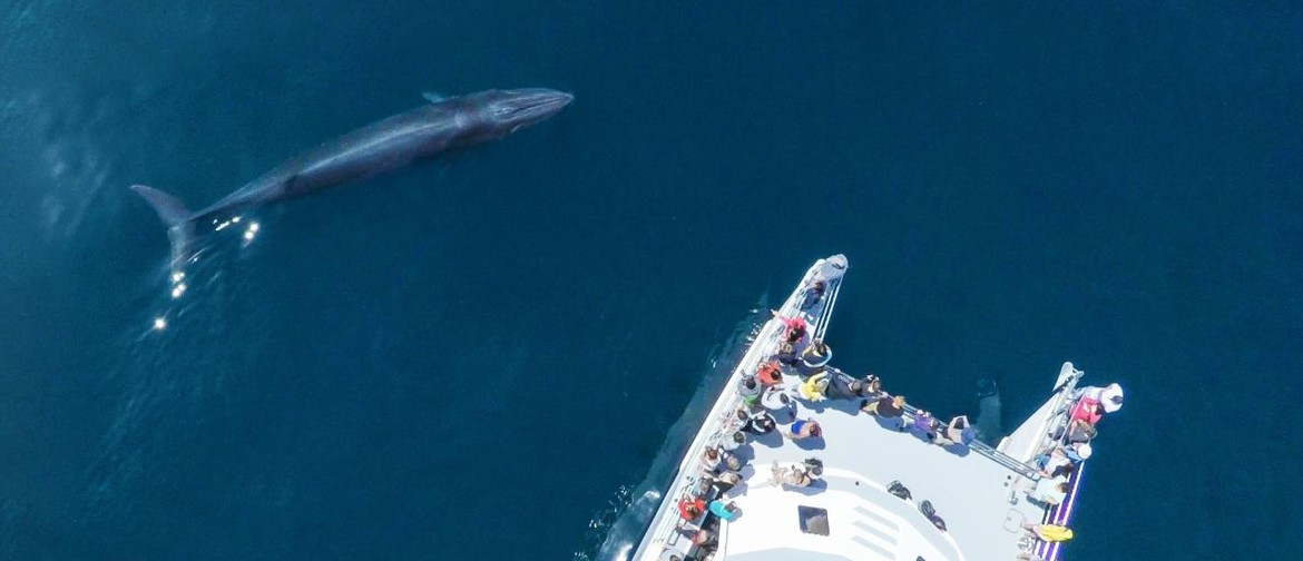 Love Omaru Stream Fundraiser - Auckland Whale & Dolphin Safa
