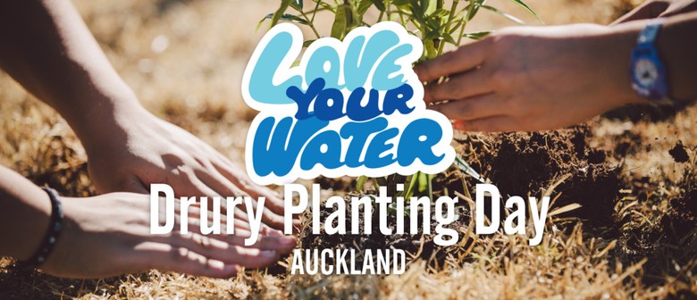 Drury Creek Islands Community Planting Day: SOLD OUT