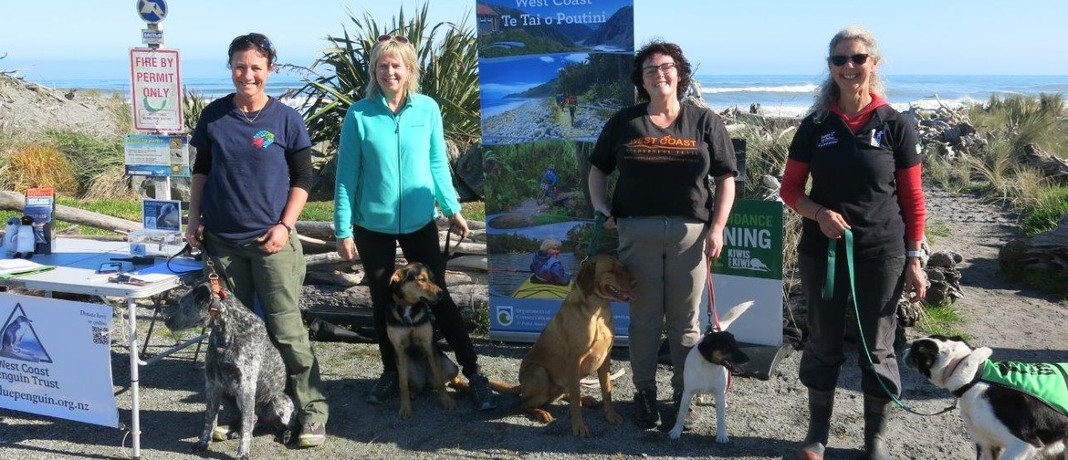 Dog Training - Kiwi and Weka Avoidance