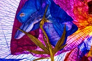 Image for event: Jewellery Making Workshop with David Lupton