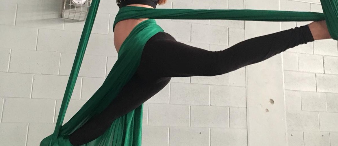 Adult Aerial Silks and Trapeze Classes