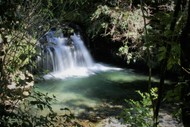 Image for event: Guided Sanctuary Walks