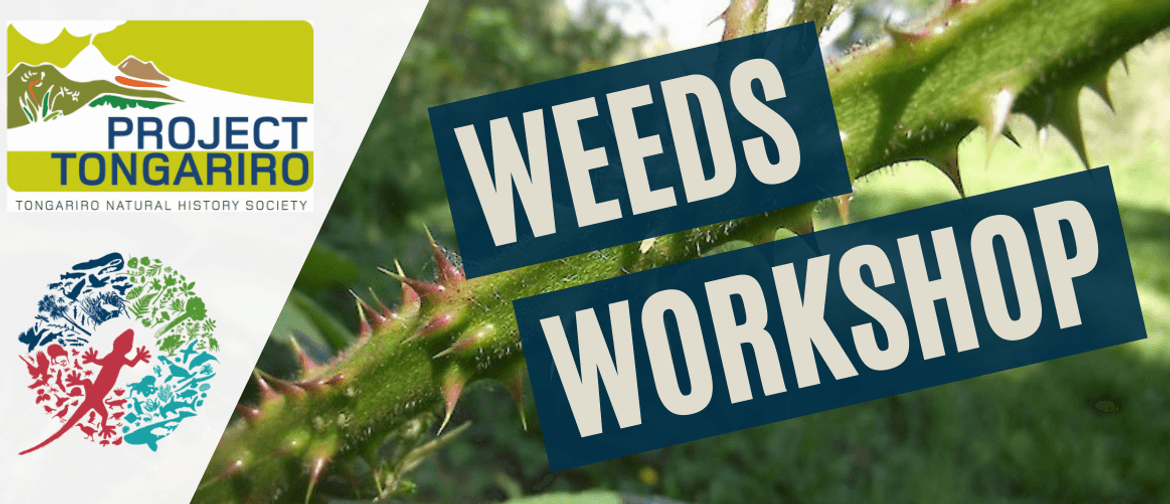 Weeds Workshop with Project Tongariro