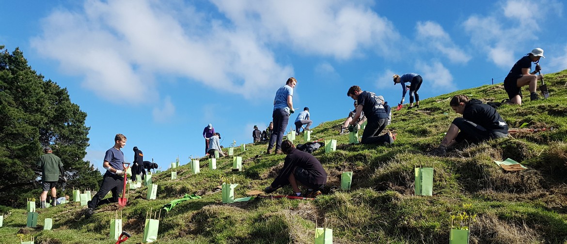 Te Ara Kakariki Plantout – Hororata