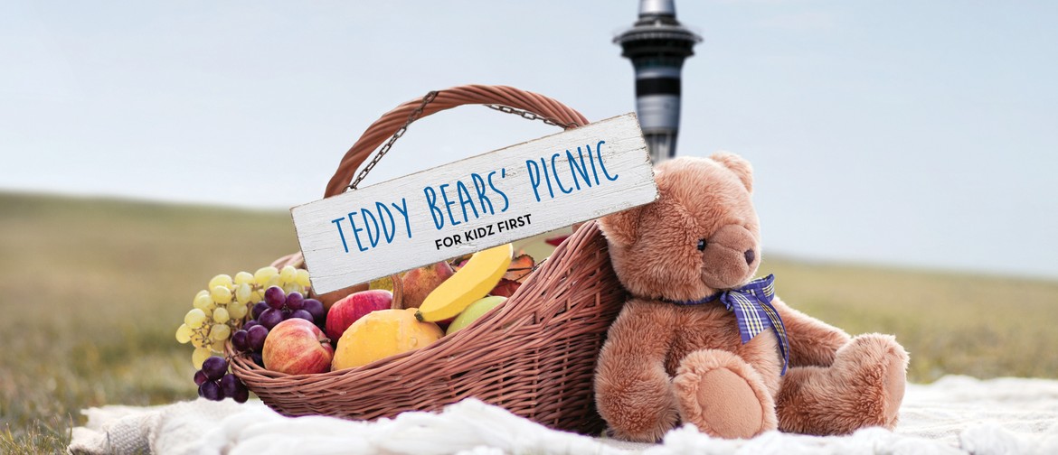 Teddy Bears Picnic for Kidz First Charity