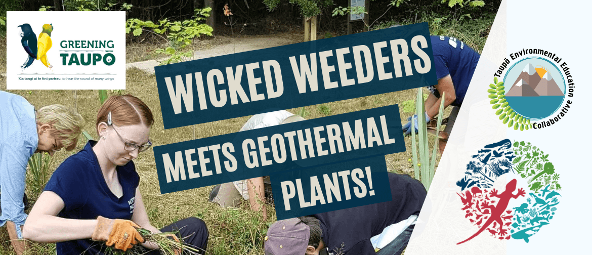 Wicked Weeders Meet Geothermal Plants