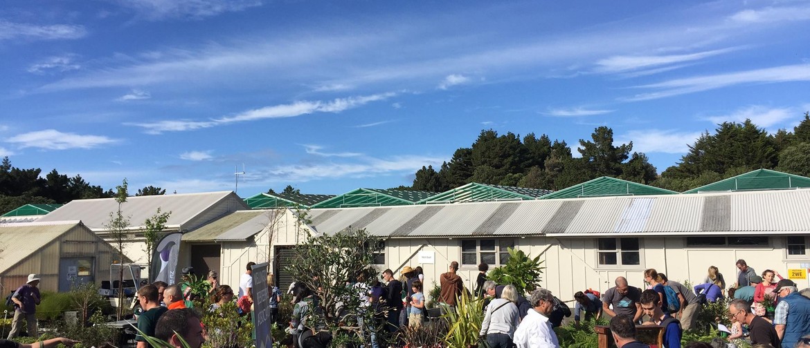 Berhampore Nursery Open Day 2019