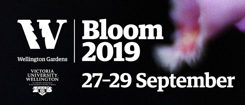 Bloom 2019 Concerts