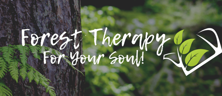 Forest Therapy For Your Soul!