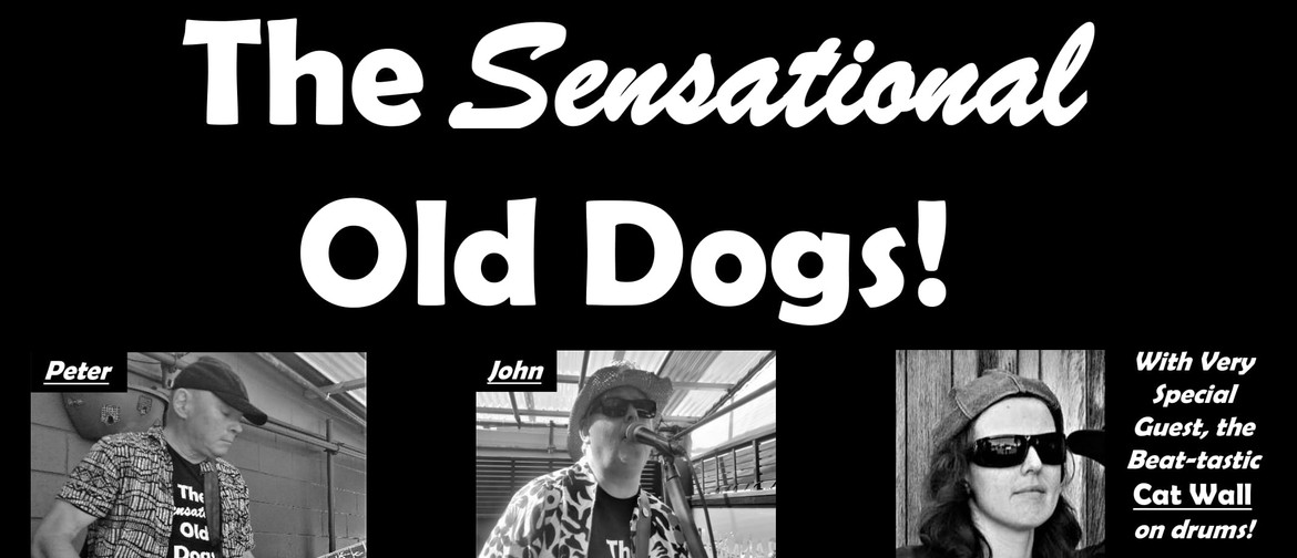 The Sensational Old Dogs with Cat