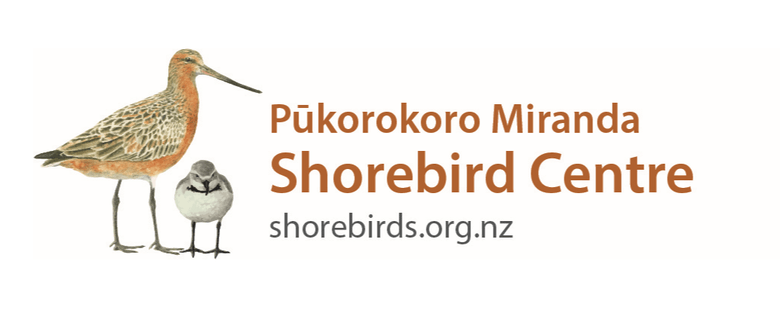 Shorebird Centre Open Day