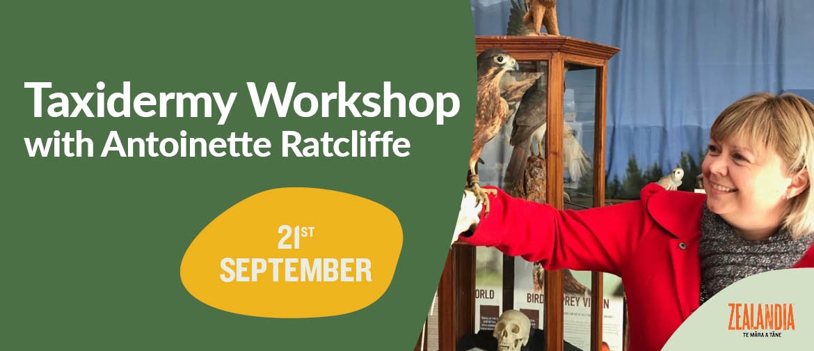 Taxidermy Workshop with Antoinette Ratcliffe