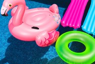 Image for event: Dannevirke Tigers Pool Party Fundraiser