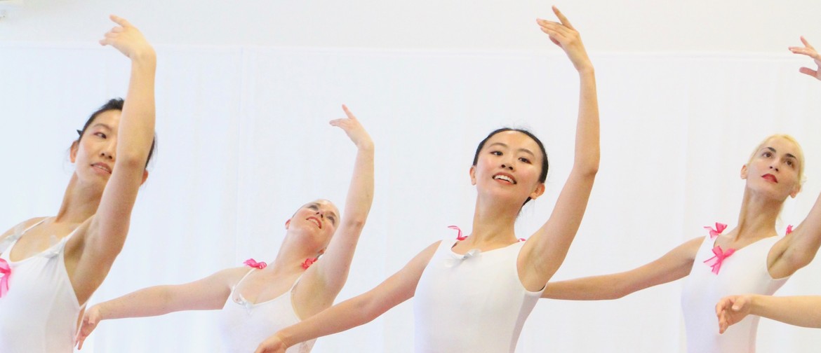 Complete Beginner Ballet Workshop