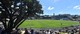 BLACKCAPS v India Test