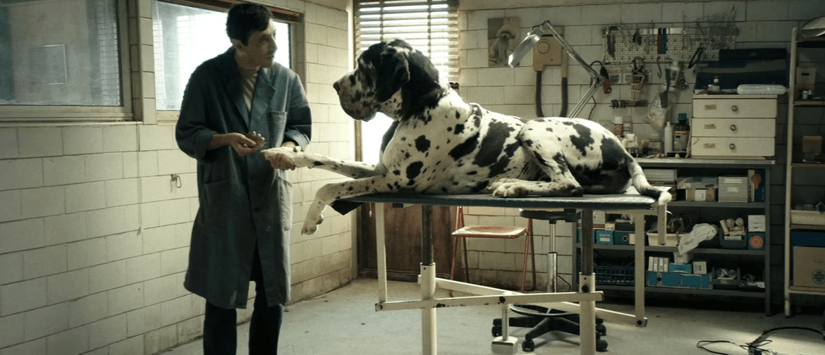Italian Film Festival - Dogman