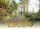 Gold Trail