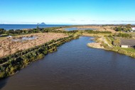 Image for event: Matata Dune Planting Day