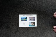 Image for event: Pastel Art Exhibition