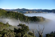 Image for event: Wairarapa Conservation Week Closing Event
