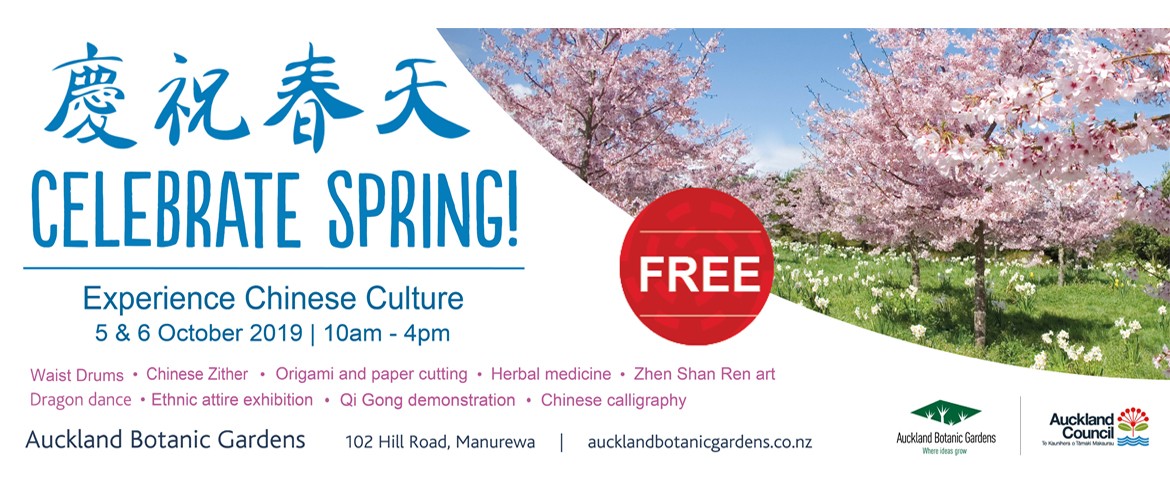 Celebrate Spring - Experience Chinese Culture