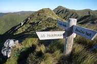 Image for event: Mt Holdsworth Family Bushwalk