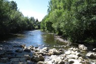Image for event: Waipoua Riverbank Planting