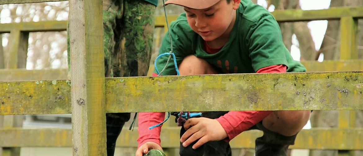 Woodland Tinkering - Holiday Programme