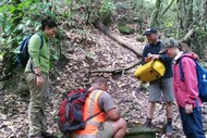 Image for event: Waihirere Trapping Project