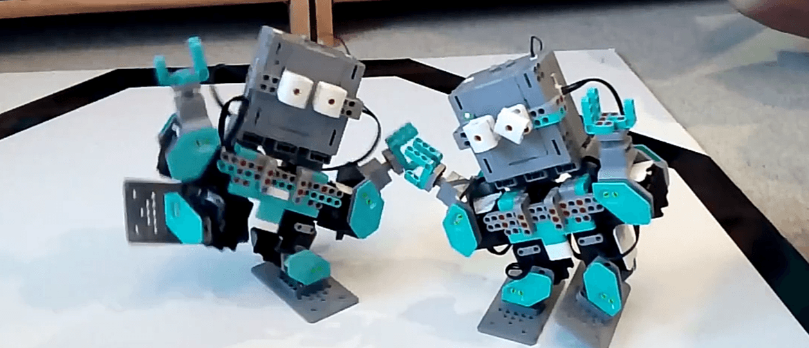 Robotics Holiday Program