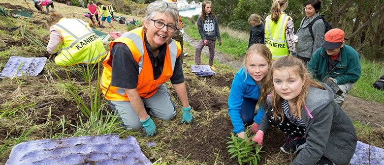 Port Saddle Planting