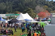 Image for event: Coromandel Town Seafood Fest