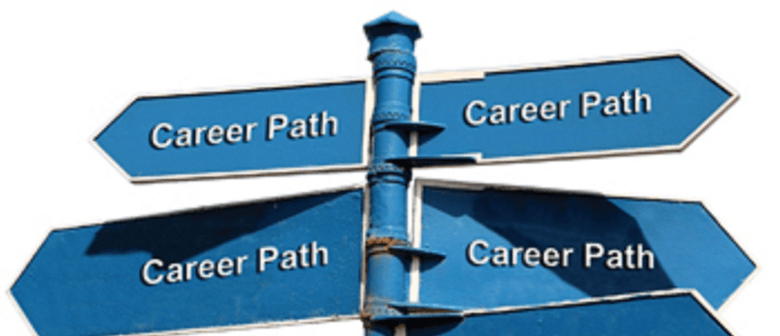 Strategic Job Searching - The Kiwi Way