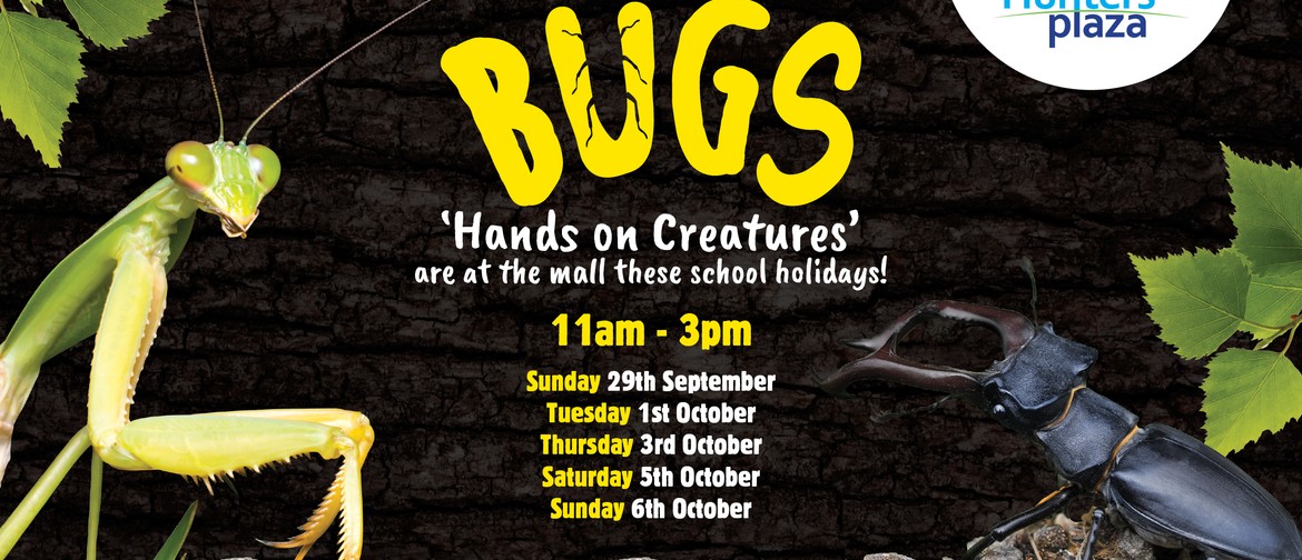 Bugs - Hunters Plaza School Holidays