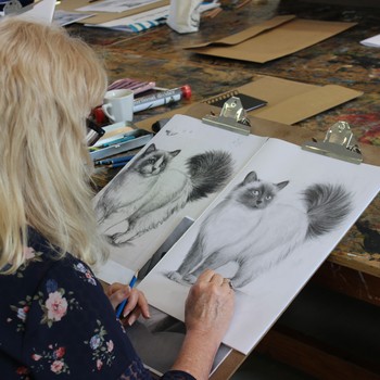 Studio One Toi Tū - Realistic Drawing