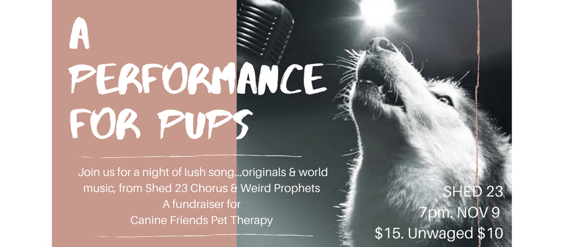 A Performance for Pups