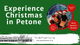 Santa's Grotto