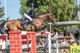 Tavendale & Partners' National Show Jumping Show
