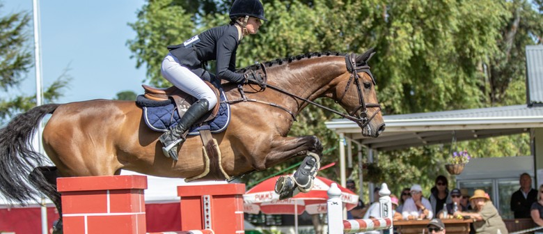 Tavendale & Partners' National Show Jumping Show