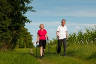 Image for event: Nordic Walking