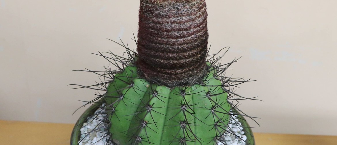 Cactus & Succulent Show and Sale