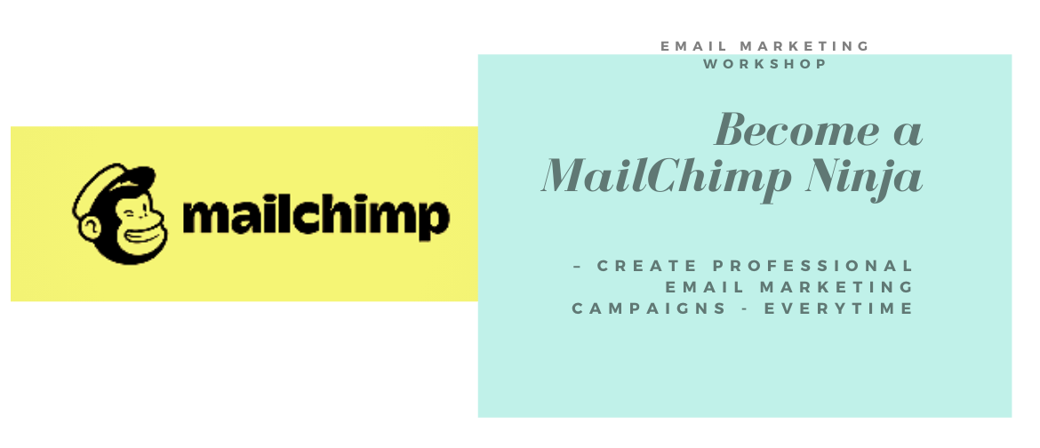 Mailchimp Training for Business 101