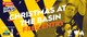 Dream11 Super Smash - Christmas at the Basin